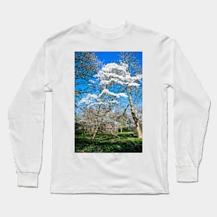 Winkworth Blossom Long Sleeve T-Shirt
